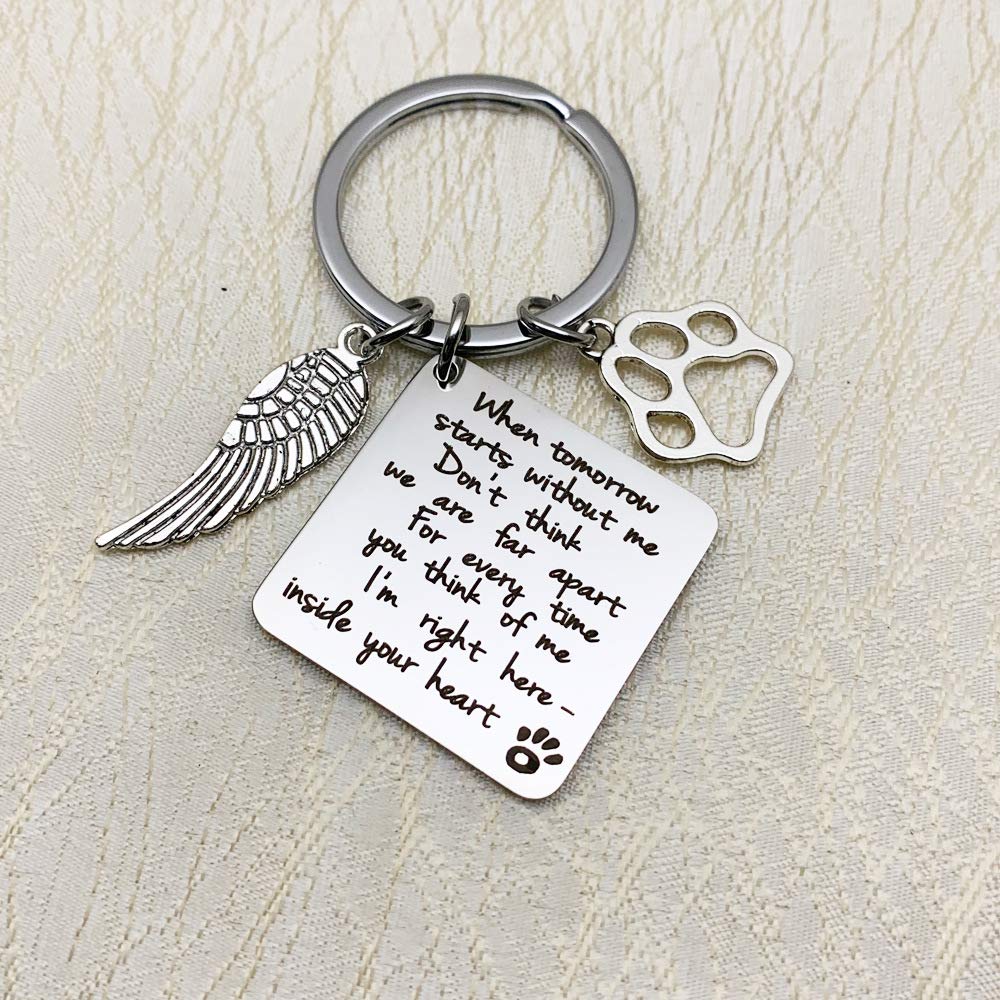 Perstysong Regalo commemorativo per animali domestici, foto di cristallo 3D personalizzata e portachiavi, set con nome della foto, regalo per la perdita di simpatia per animali domestici in memoria di