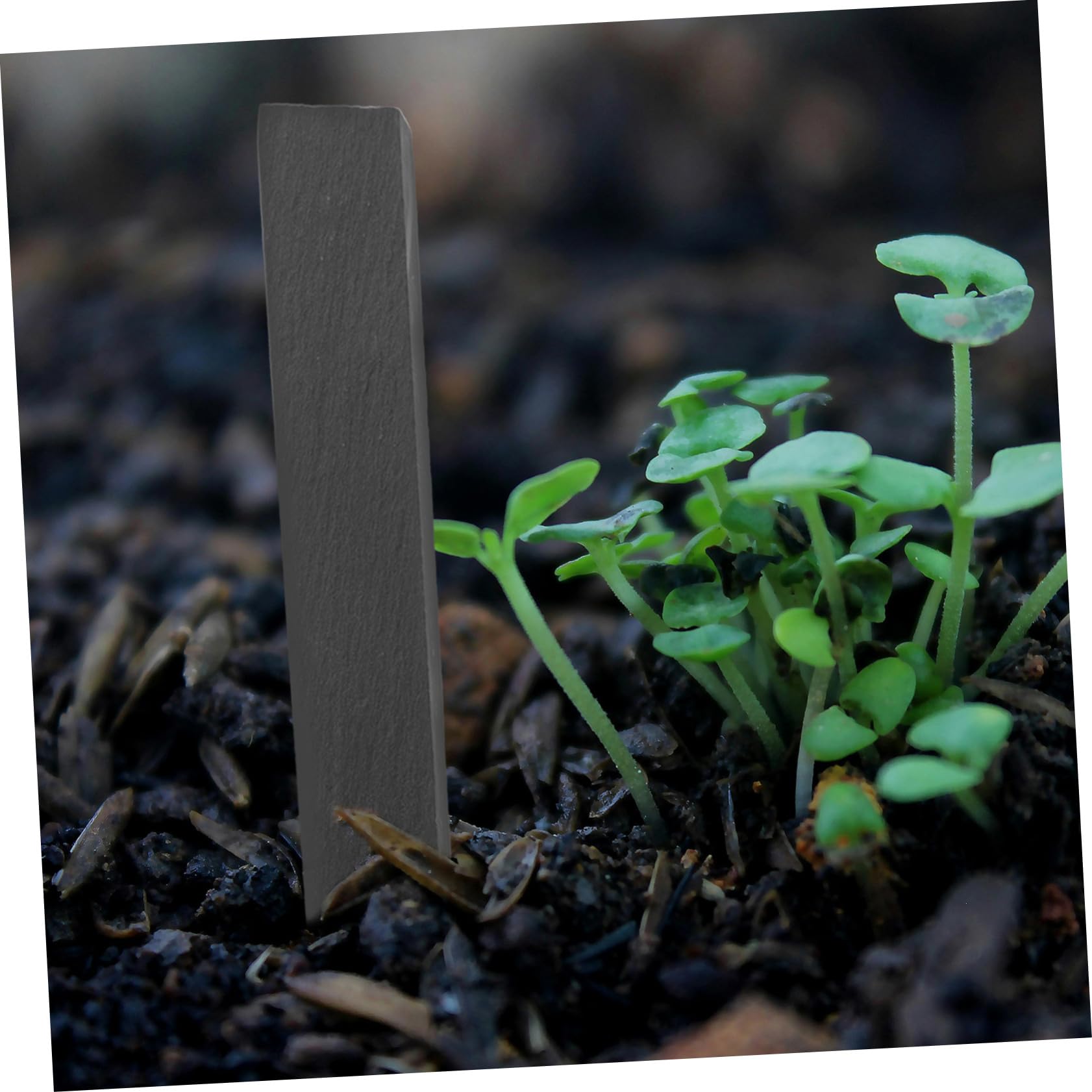 ibasenice 2 Ensembles Étiquettes Ardoise Pour Plantes Marqueurs Durables Pour Jardin Et Semis Faciles À Écrire Et Insérer 10 Pièces * 2