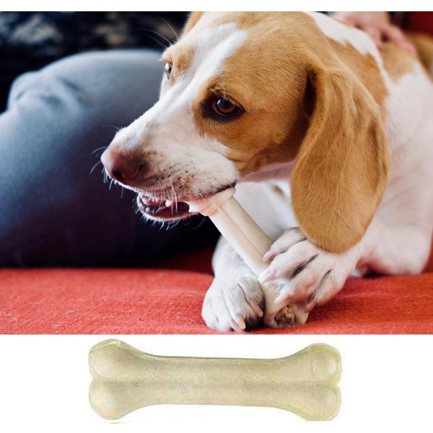 PETHOOD Dog Chew Bone 4 inch - 10 Pc, Chicken Flavor, Young Dogs, Dog Treats, Bones for Dogs | for All Dog Breeds | No Colour Added | Protein Rich, Low Fat 2