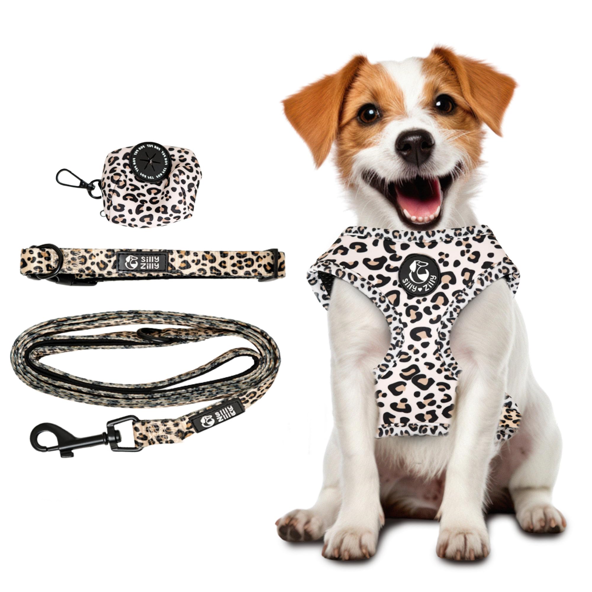 Ensemble 4 pièces pour chien, harnais avec laisse, collier et distributeur de sacs à déjections canines, ensemble assorti (petit)