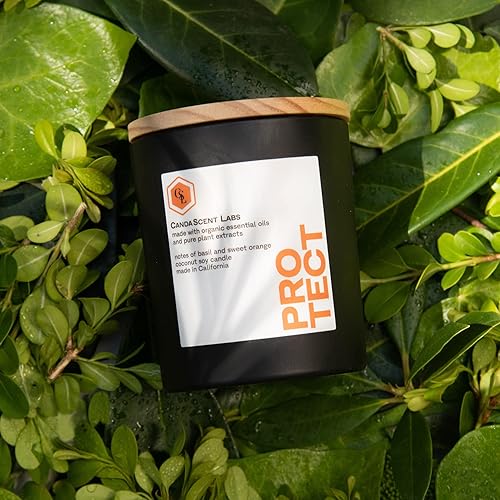 Miniatura 5 de Vela de bienestar de CandaScent Labs de albahaca orgánica y naranja dulce antiinflamatoria, antioxidante, propiedades fortificantes en los