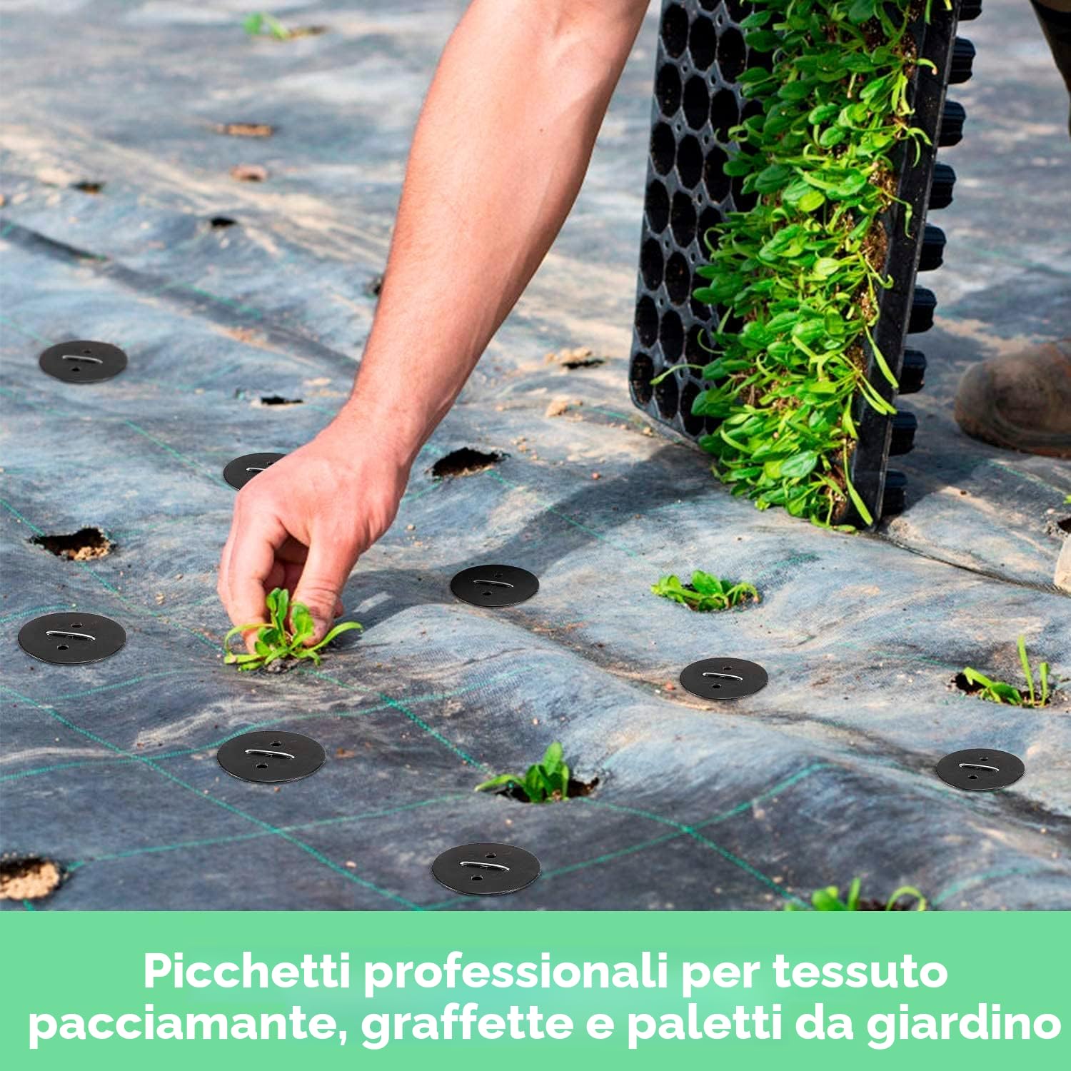 Ediesi, Picchetti Giardino, Telo Pacciamatura, 100 Unità + 16 Rondelle, 150x30x3mm, Da Campeggio, Tenda, in Acciaio, Erba Artificiale, Fissaggio per Campeggio (100)