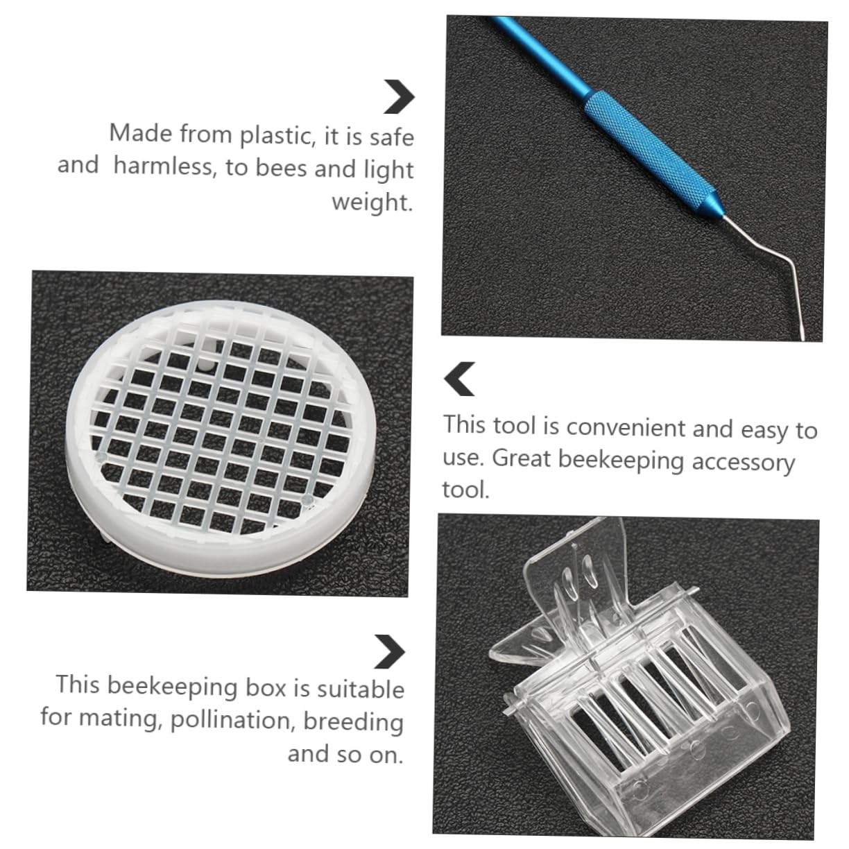 Kit di Allevamento delle Regine in Abs, Box per Apicoltura | Gestione Allevamento, Leggero e Pratico, Accessori per Attività di Impollinazione e Cura Api Colore Casuale