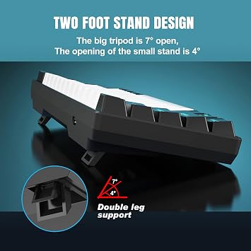 Snpurdiri 60% Wired Mechanical Gaming Keyboard 61 Anti-Ghosting Keys Blue LED Backlight Ultra-Compact Two Stands (Brown Switches/Black and White)