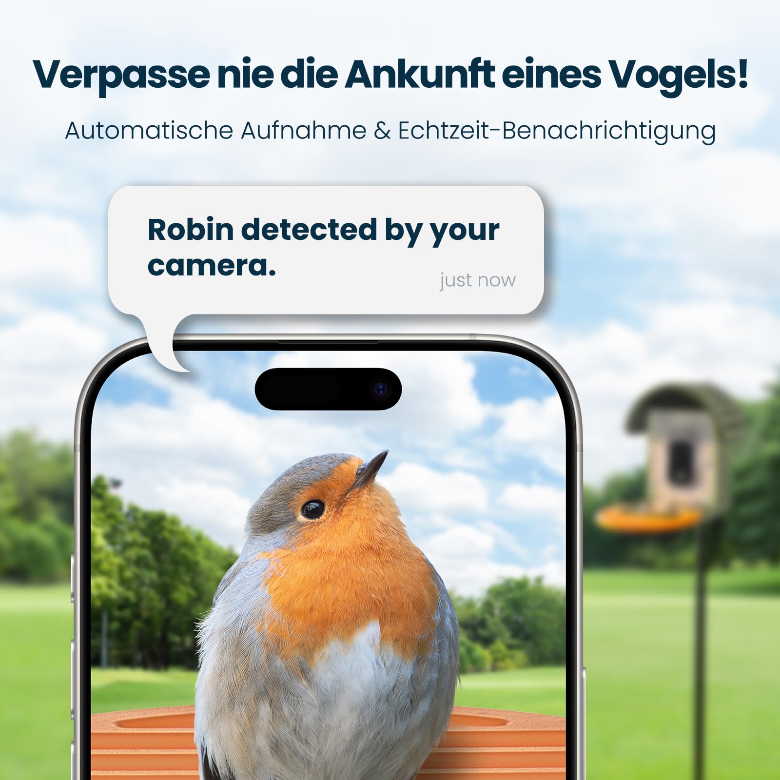 Vogelhaus mit Kamera, 2,5K UHD, solarbetrieben, präzise KI-Erkennung, sofortige Benachrichtigungen, wasserdicht nach IP66 für den Außenbereich, grün