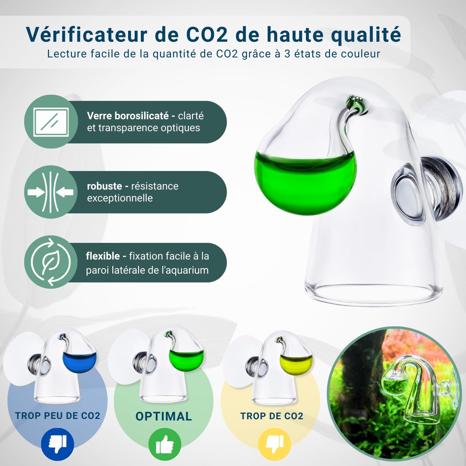 Q-Grow Kit Complet de système CO₂ pour Aquarium – Simple et Universel – INCL. diffuseur en Acier Inoxydable, Test Permanent, détendeur, Bouteille de CO₂ 425 g, Jusqu’à 1000 L