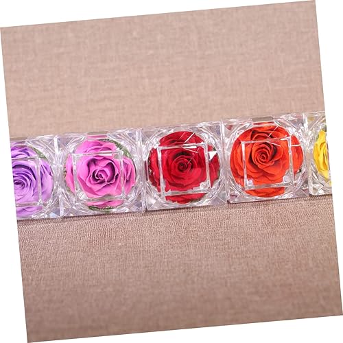 Miniatura 6 de NUOBESTY Ramo preservado de rosas nunca marchitas, color rosa, aniversario, rosa, novia, decoración del hogar