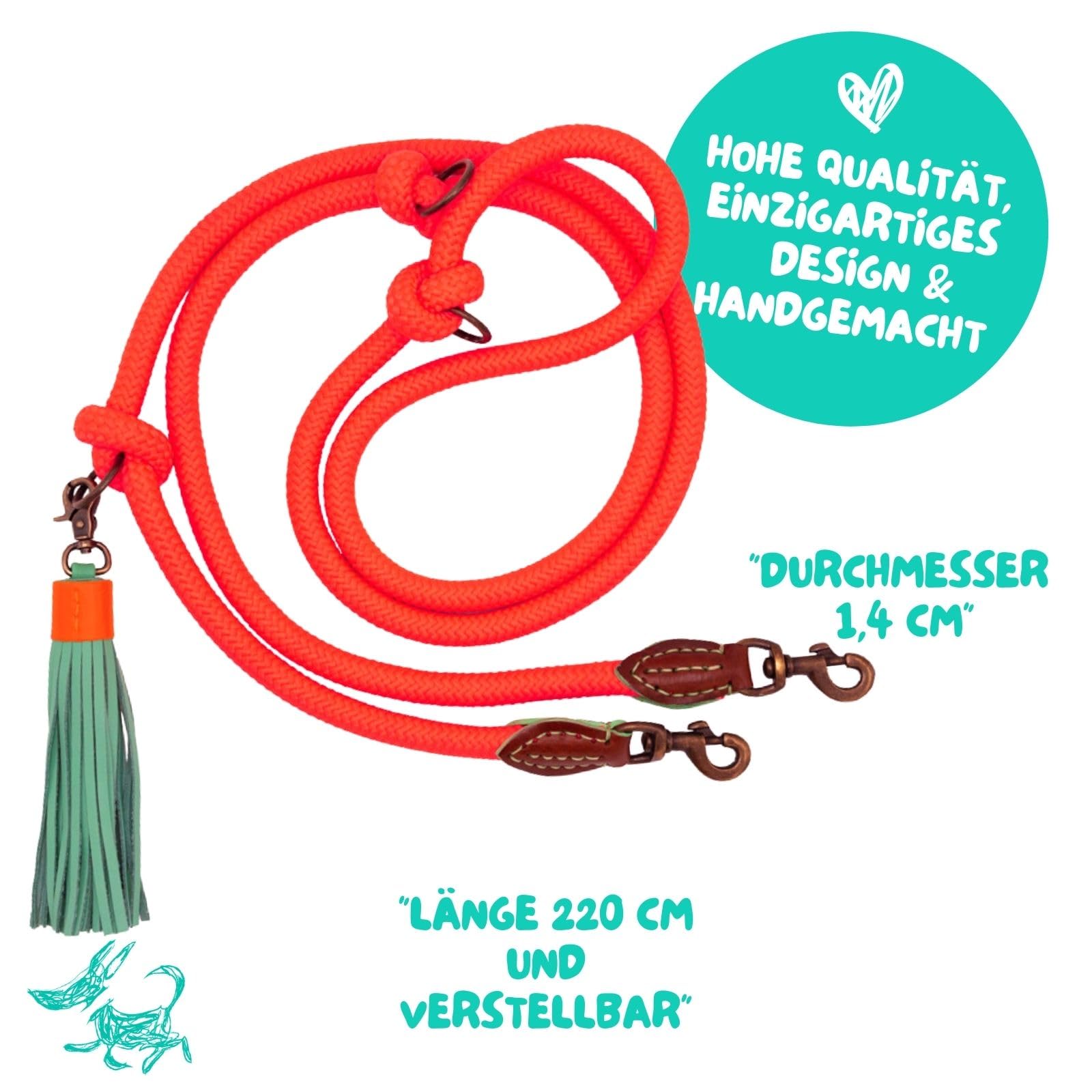 Dog with a Mission - Hundeleine S | Orangefarbene Tauseilleine für kleine Hunde | Robuste Führleine mit stabiler Karabinerhaken - 220 cm x 1 cm | Polyester & Leder - Frisch und auffällig