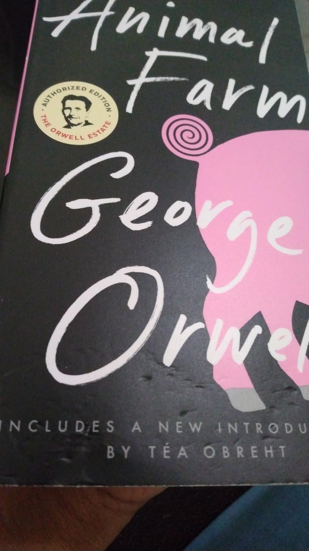 New book arrived with bite marks