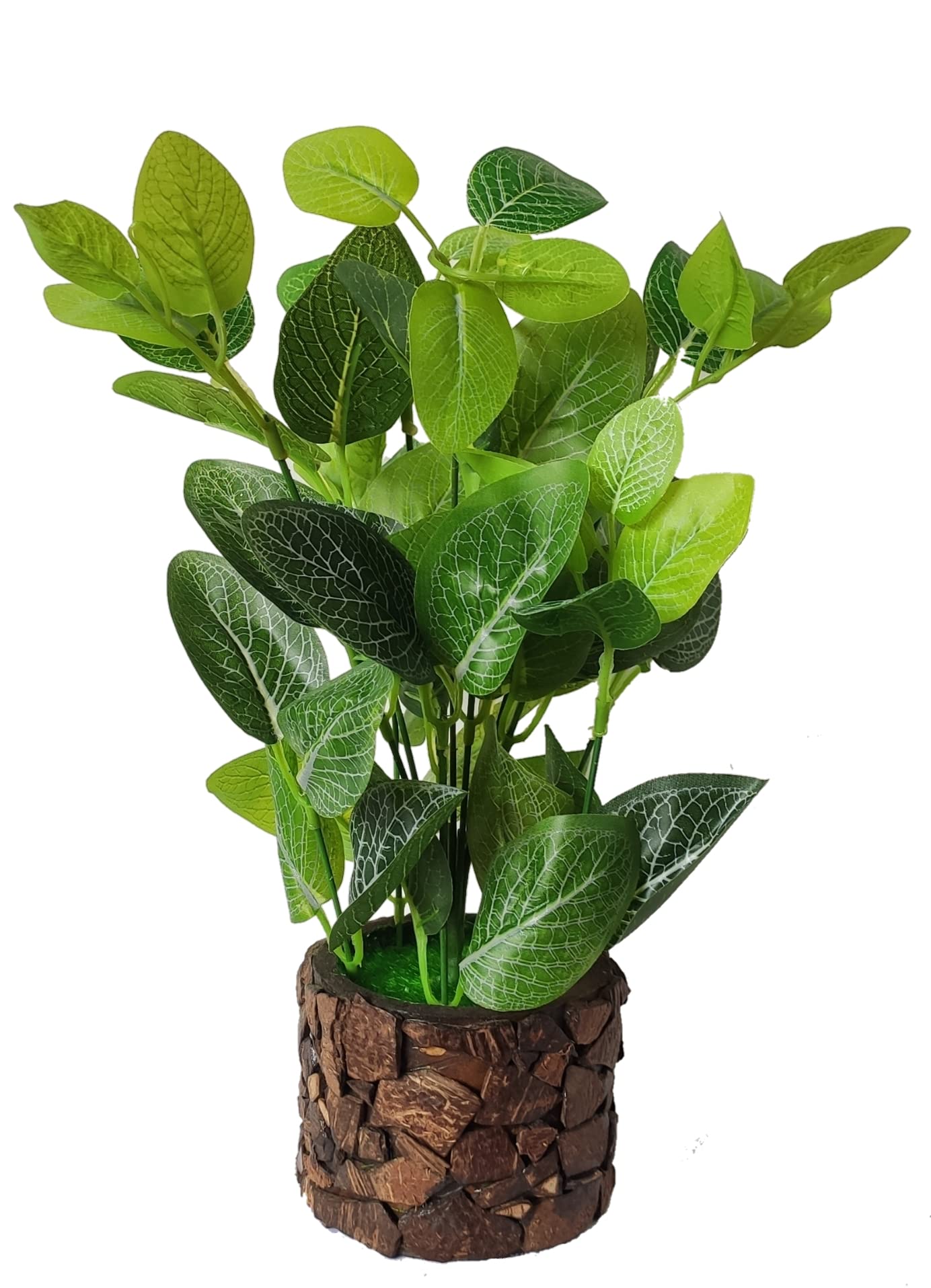BAARIG Natural Looking Artificial Money Plants, Best for Home Shop Office or Gift with Pot (34 cm) (Light Yellow)-image-39