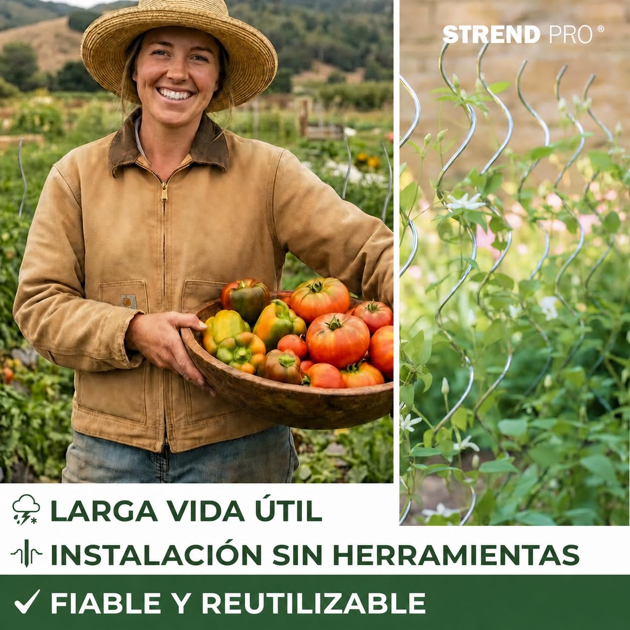 STREND PRO Tutores Espirales para Tomates 180 cm, Pack de 25 | Ø 6,5 mm, Acero Galvanizado | Soporte para Plantas Trepadoras