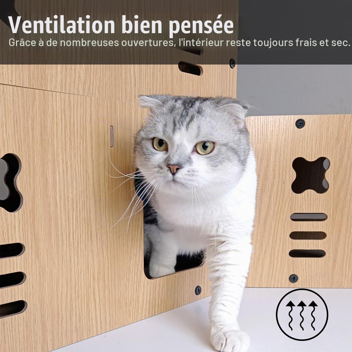 Grotte pour Chat avec Planche à Griffer, Maison pour Chat XXL pour Intérieur en Carton, Carton à Grattoir pour Chat, Salon de Tapis à Gratter, Jouet pour Chat Durable 55 * 29 * 28cm (Tête de