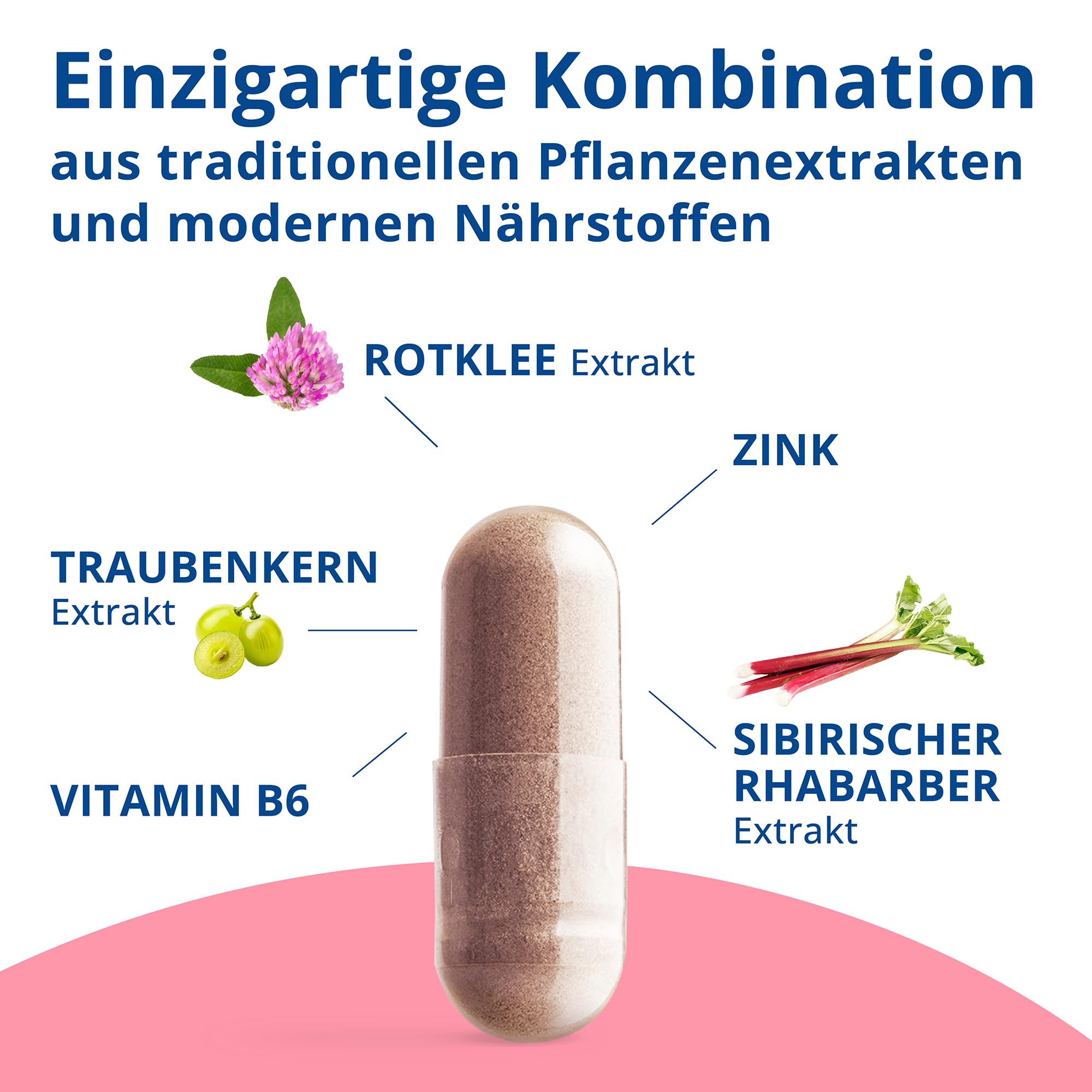 MENO VITAL – Natürliches Wohlbefinden in der Menopause - 60 vegane Kapseln mit Traubenkernextrakt, Rotklee und Rhabarbar Extrakt - Hormon Balance Frauen in Wechseljahre