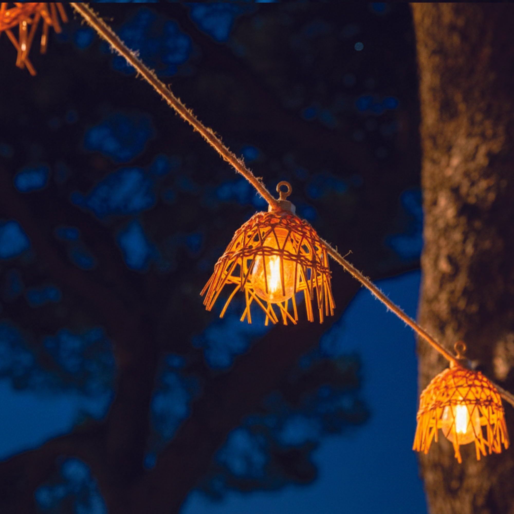 Gloeilamp - Bruine - Met accu - Lichtkettingen kopen? | Korting tot