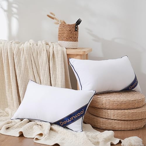 Miniatura 4 de DOWNCOOL Juego de 1 almohadón rectangular blanco de 12 x 20 pulgadas, para sofá cama, almohadas decorativas para interiores