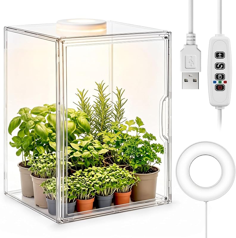 Novabright Mini invernadero interior con luz de crecimiento gabinete de acrílico transparente para plantas, kit de invernadero interior de mesa DUSB luz blanca y cálida para suculentas, hierbas (sin divisores)