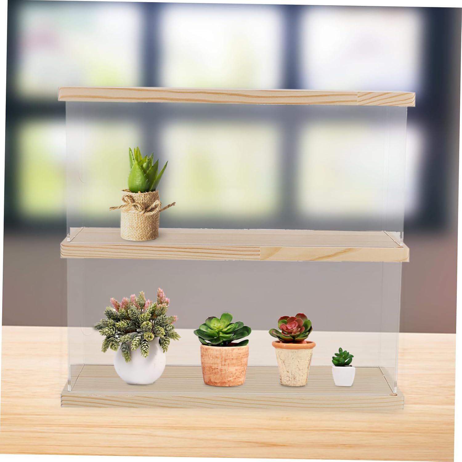 Smooth Surface Acrylic Display Box Collectible Display to Assemble and Disassemble