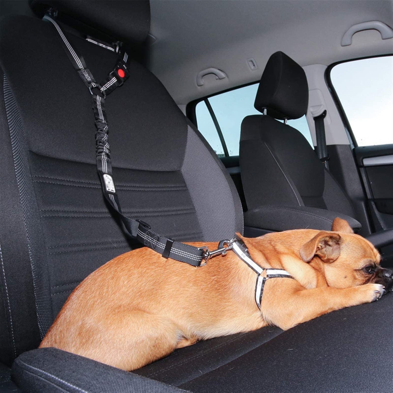 Cinturón De Seguridad Para Perro En Coche - Elástico Ajustable, Clip Giratorio 360°, Reflectante, Para Razas Pequeñas A Grandes