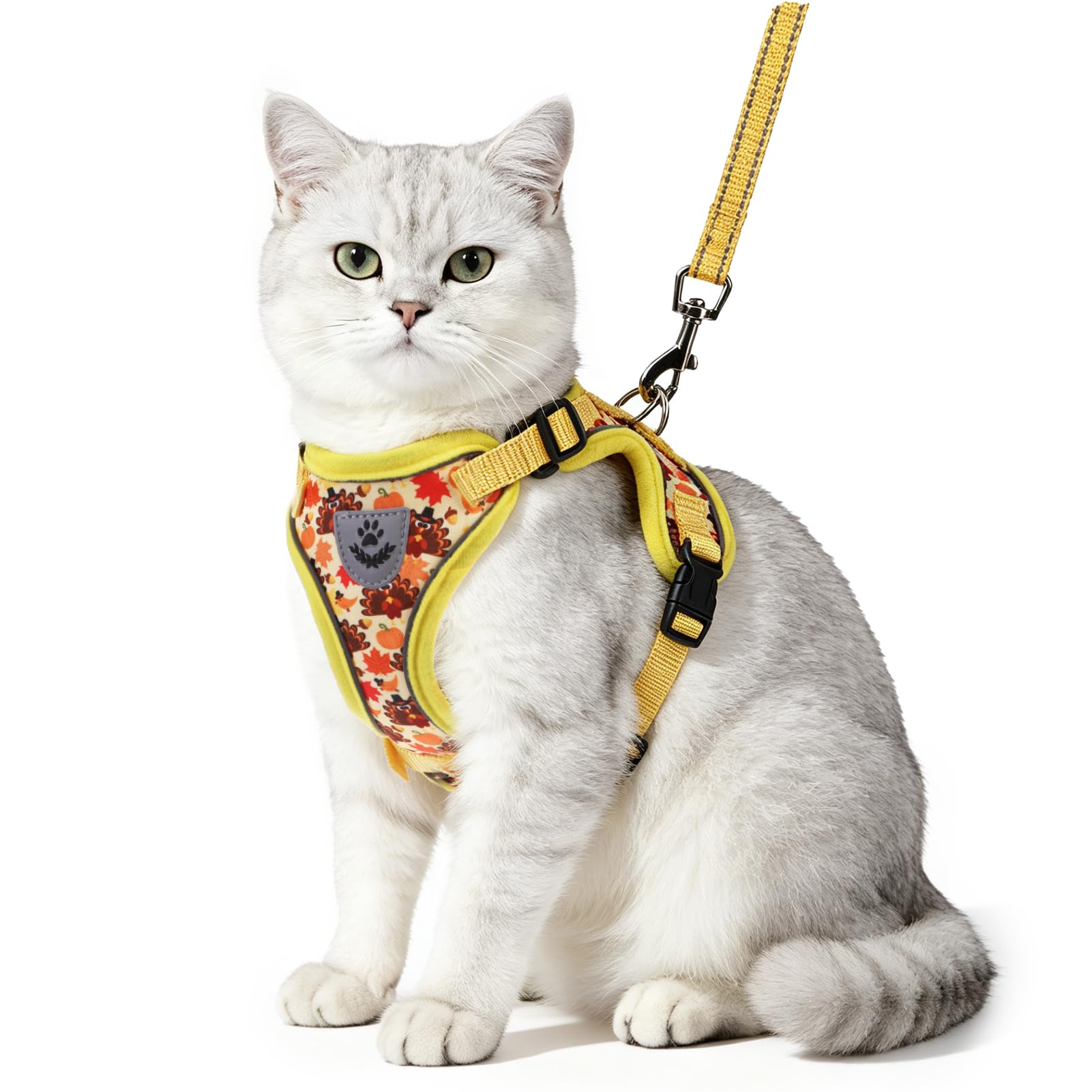 PUPTECK Fall Thanksgiving Cat Harness and Leash Set Escape Proof Reflective Cat Walking Harness Adjustable Soft Breathable Mesh Vest for Small Pets, M