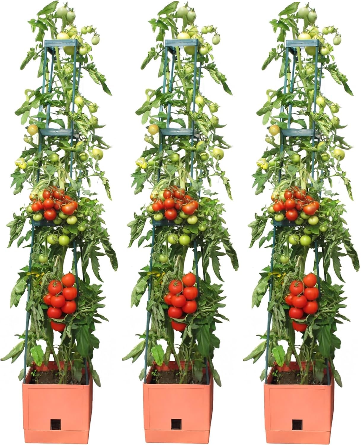 BioGreen Pflanzen-Aufzucht-Turm „Maxitom“ 3er-Set mit Rankhilfe und 2-Liter-Wasserspeicher | 16 Liter Fassungsvermögen | 150 cm Höhe | Farbe: Terracotta