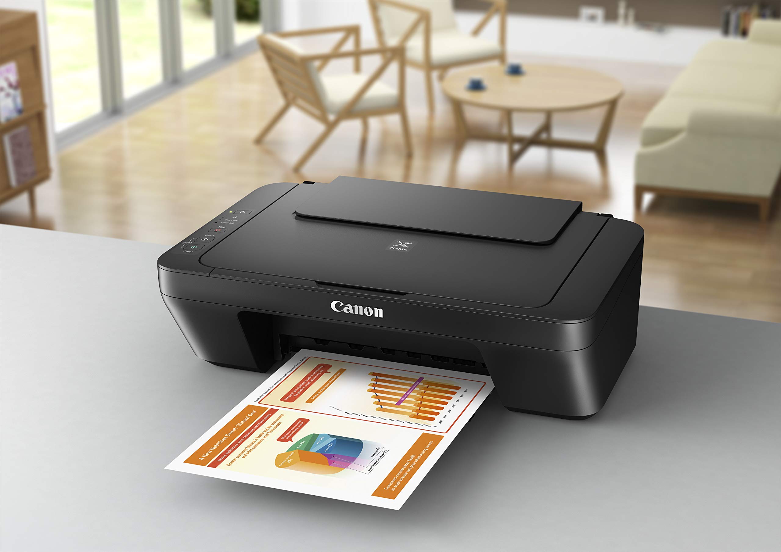 Canon Printer Drucker PIXMA MG2550s (0727C006)