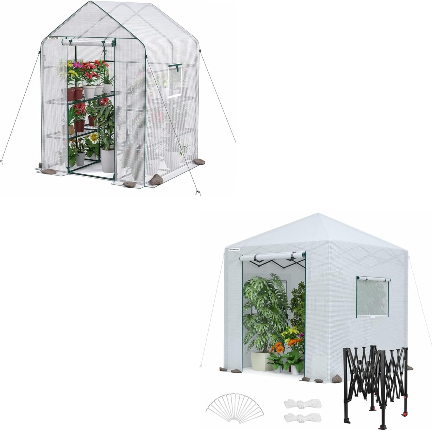 WORKPRO Greenhouse, 56” x 56” x 77” and 8'x 8' Portable Walk-in Greenhouse