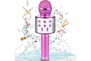Bluetooth Karaoke Wireless Microphone with Car for Kids