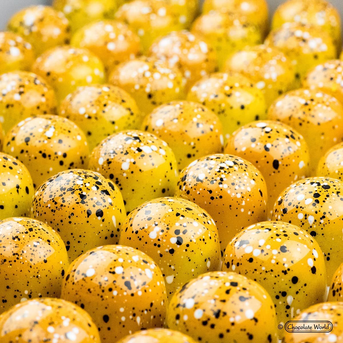 Amazon.com: Chocolate World 1433 Polycarbonate Candy Mold with 24