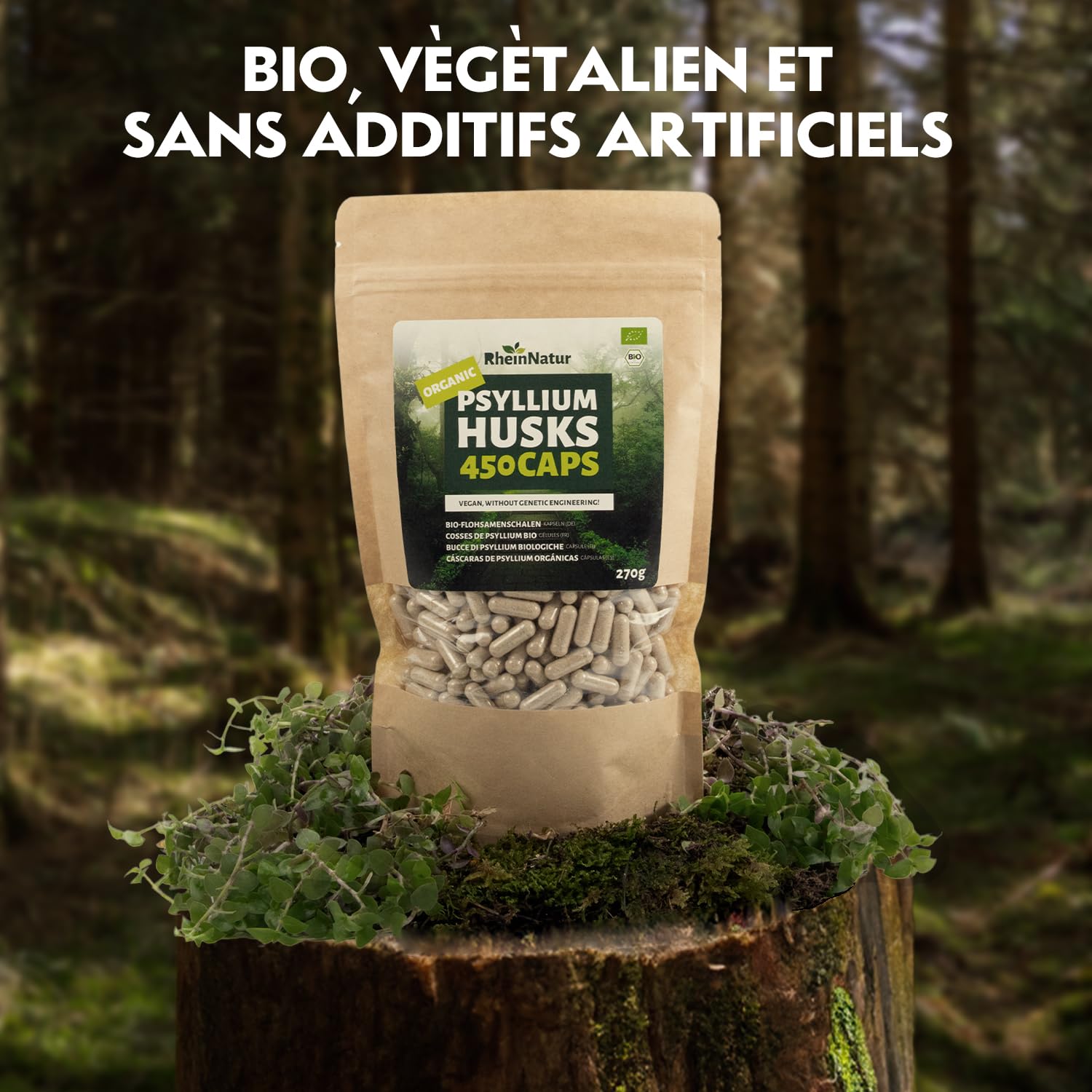 Gélules de psyllium bio RheinNatur - 450 unités