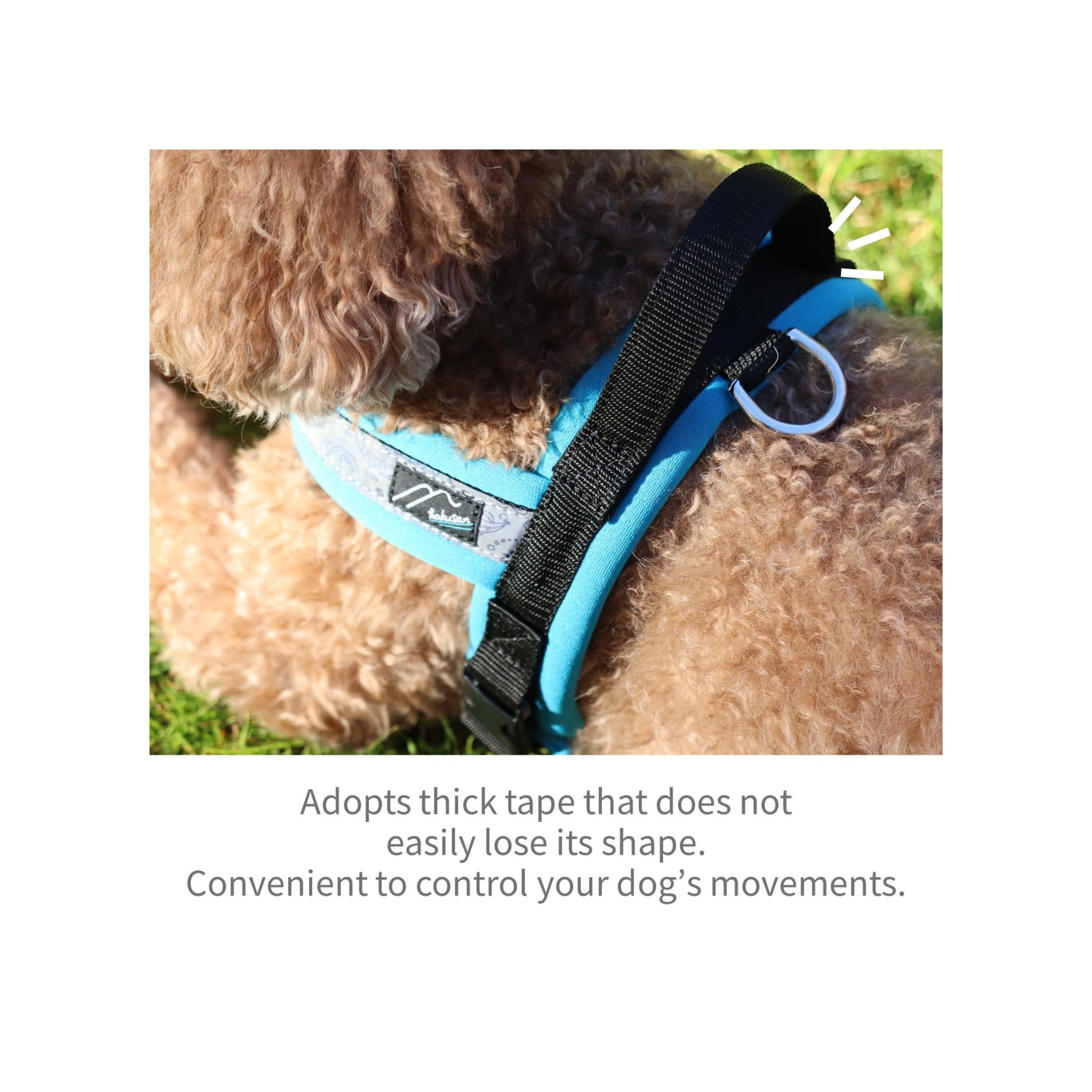 Hakusan - Pettorina per cani con drago, realizzata a mano, sicura, senza stress, con buskles one-touch, indossabile velocemente, riflettore, utile hundle, 1,5 - cane medio, nero × turchese