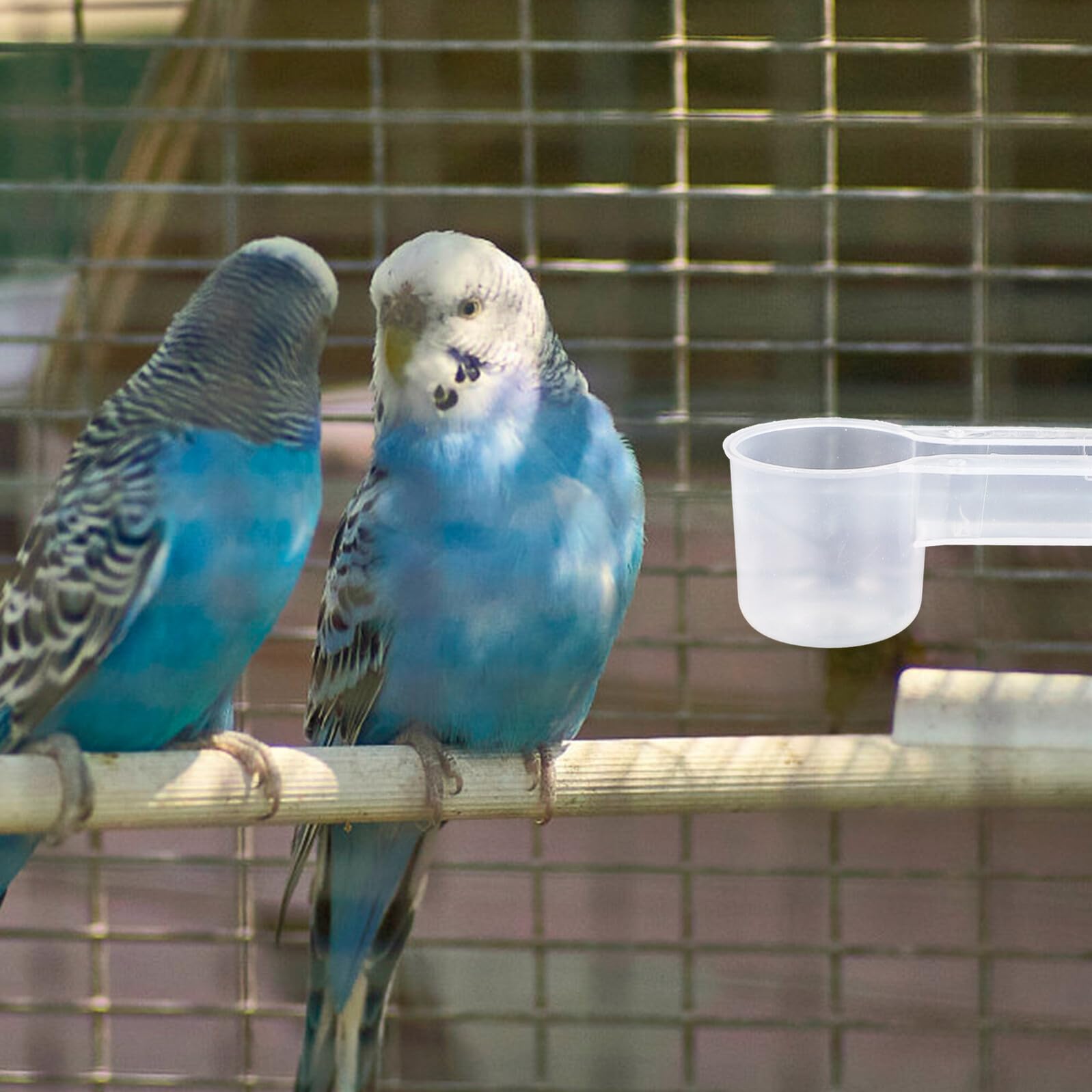 ifundom 10pezzi Abbeveratoi per Piccioni e Uccelli Bianco in Plastico Doppia Uscita Facile da Pulire e Resistente per Uso in Casa o Zoo