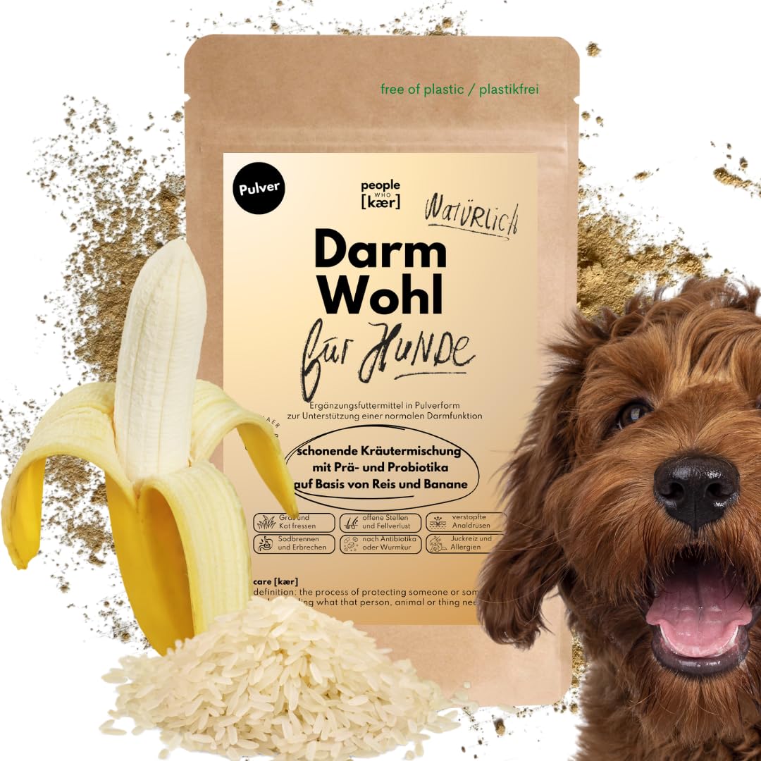 People who Kaer Darm Wohl Poudre intestinale pour chien 200 g – Prébiotiques & probiotiques chien à base de riz et de banane, assainissement intestinal et diarrhée chien, flore intestinale,