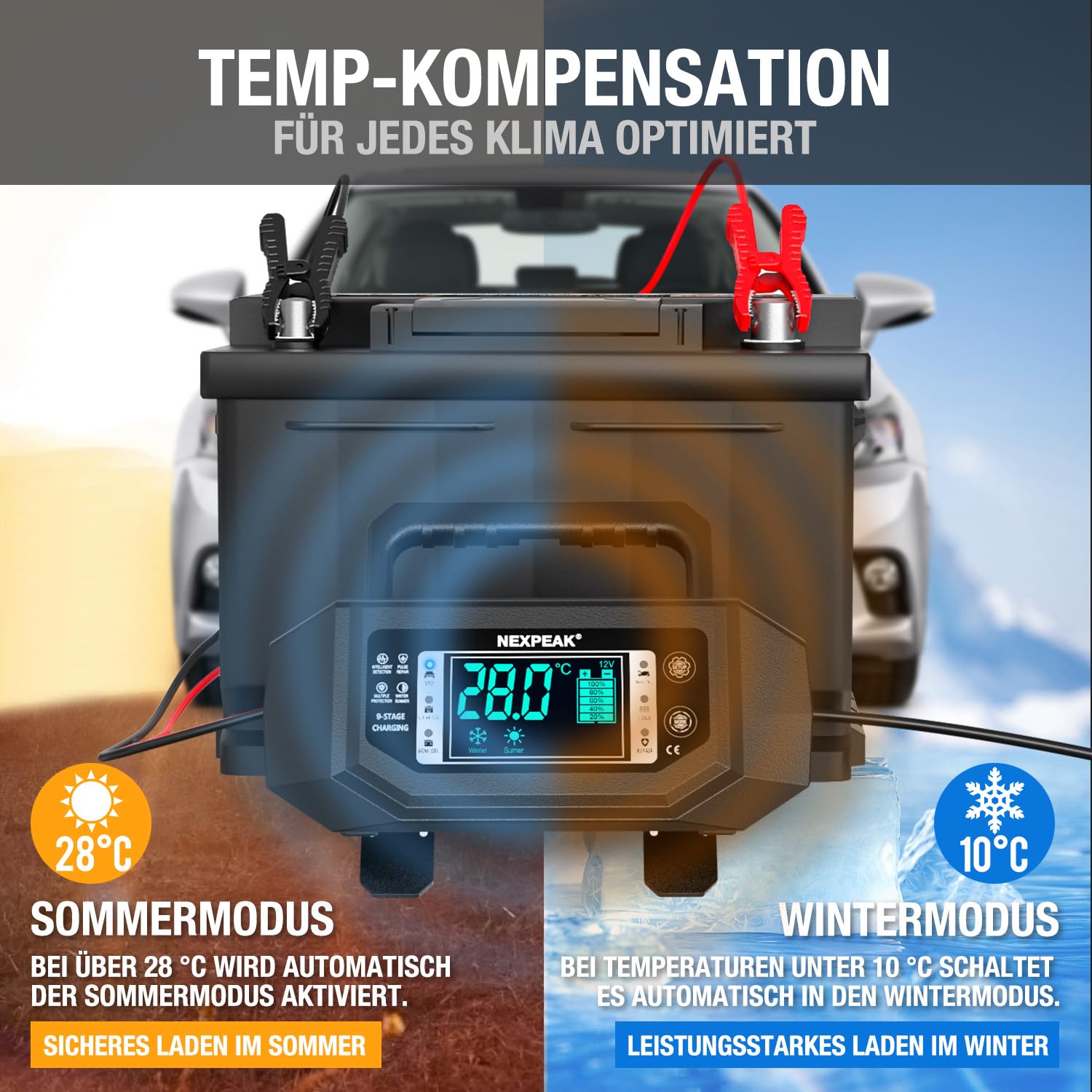 NEXPEAK LiFePO4 Cargador de batería de Coche de 1-20 A, 12 V, 24 V, con Corriente Ajustable, para Coche, camión, cortacésped, Barco