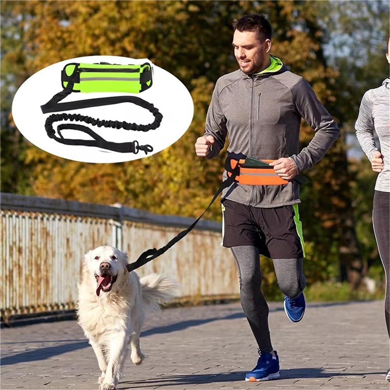 Cinturón de tracción para Perros Durante la Carrer Cinturón Manos Libres for Perros for Correr, Caminar, con riñonera, cinturón elástico retráctil y Cuerda de tracción(Blue)
