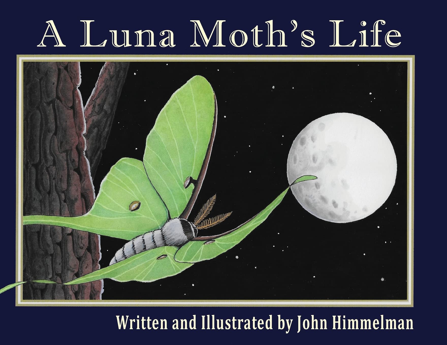 A Luna Moth's Life (Nature Upclose)