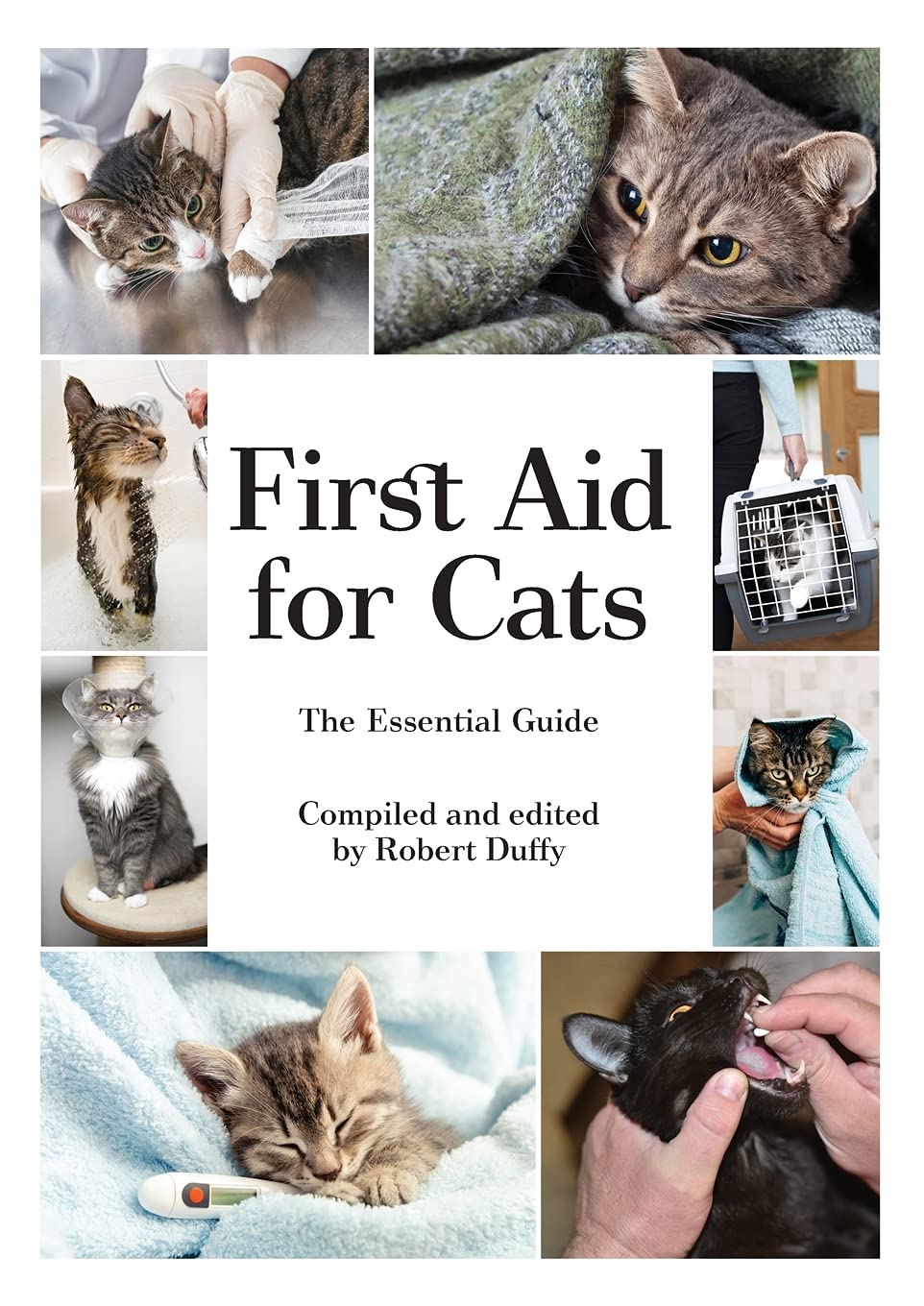 first cat essentials
