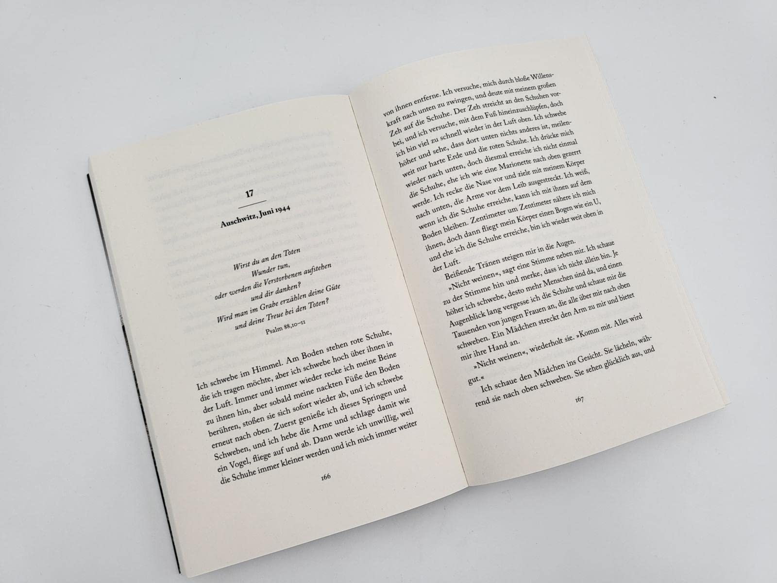 Das Mädchen mit dem roten Zopf: Roman nach der wahren Geschichte einer Auschwitz-Überlebenden | Holocaust-Memoir