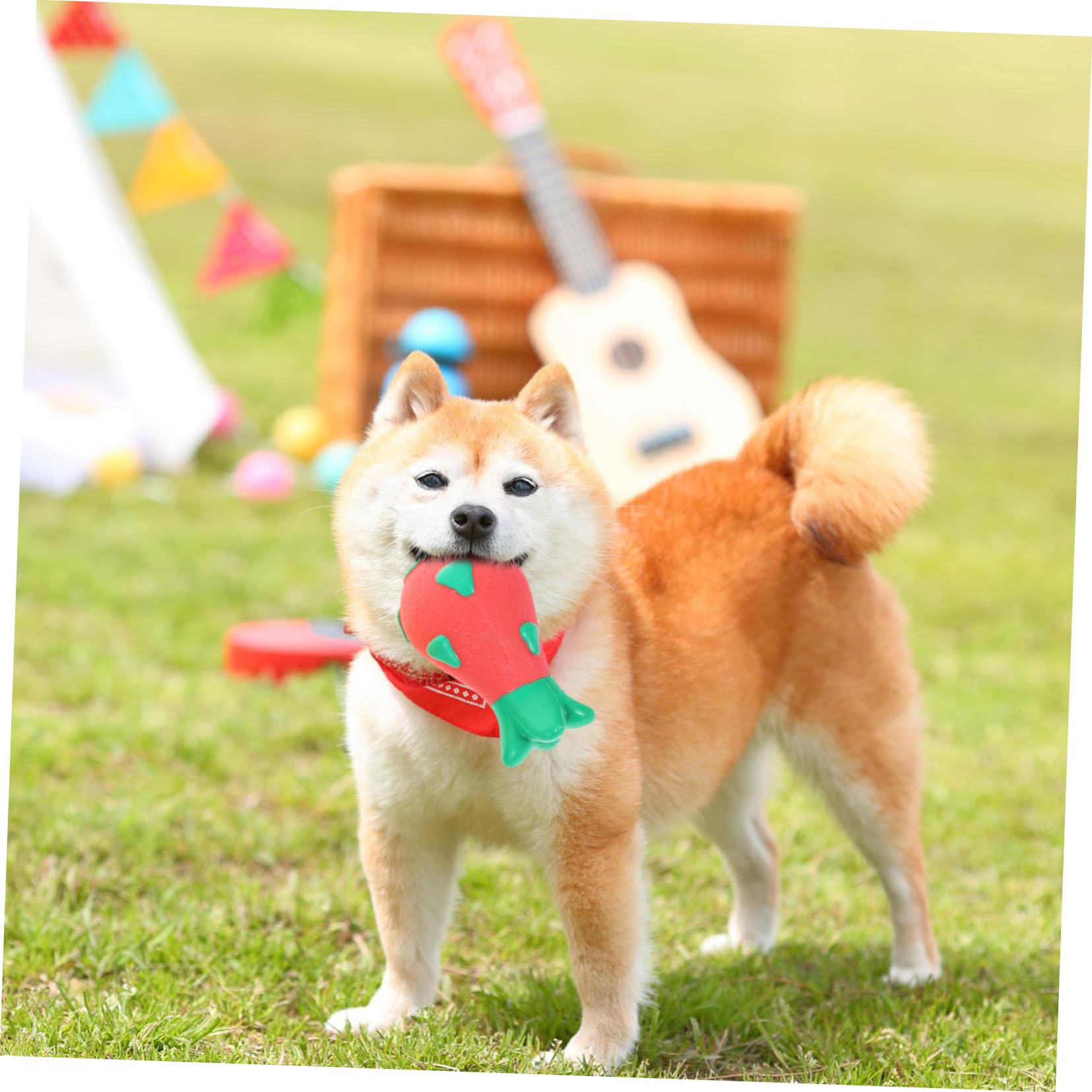 Angoily 6stücke Kauspielzeug Für Hunde Lustige Quietschspielzeuge Aus Flexibler Hundefreundlicher Für Kleine Und Mittelgroße Hunde Zum Spielen Und Zähnereinigung