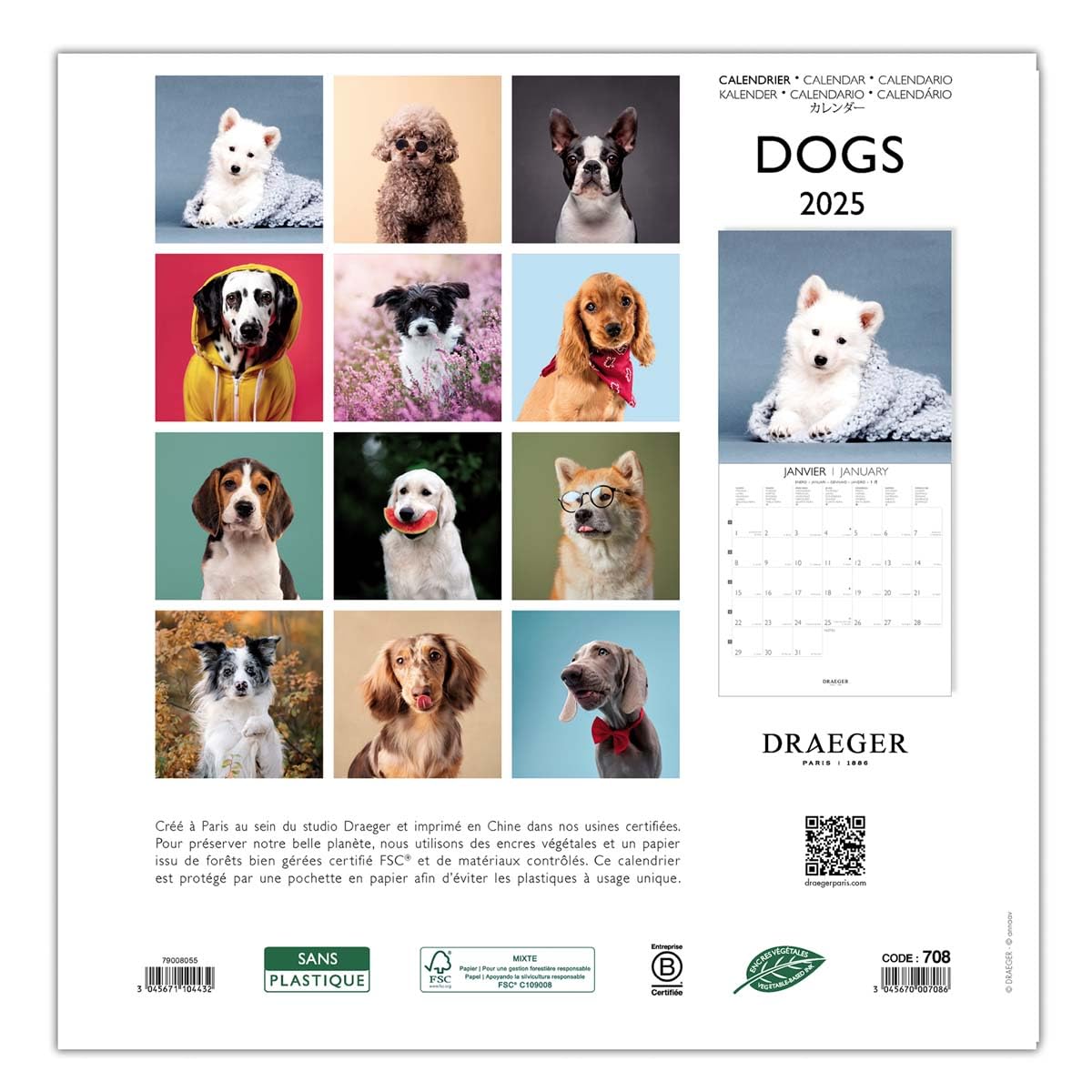 DRAEGER PARIS 1886, Large Wall Calendar 29 x 29 cm 2025-7 Languages, September 2024, December 2025, Various Themes: Dogs - Image 4