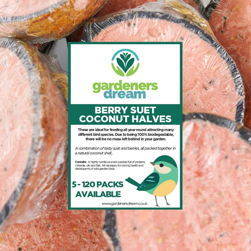 GardenersDream Berry Suet Filled Coconut Halves | Premium Garden Wild Bird Food | Protein-Rich, High Energy & Minerals Feed | Sunflower Seeds and Cereal Oat | Healthy Development for Birds (50 Pack)