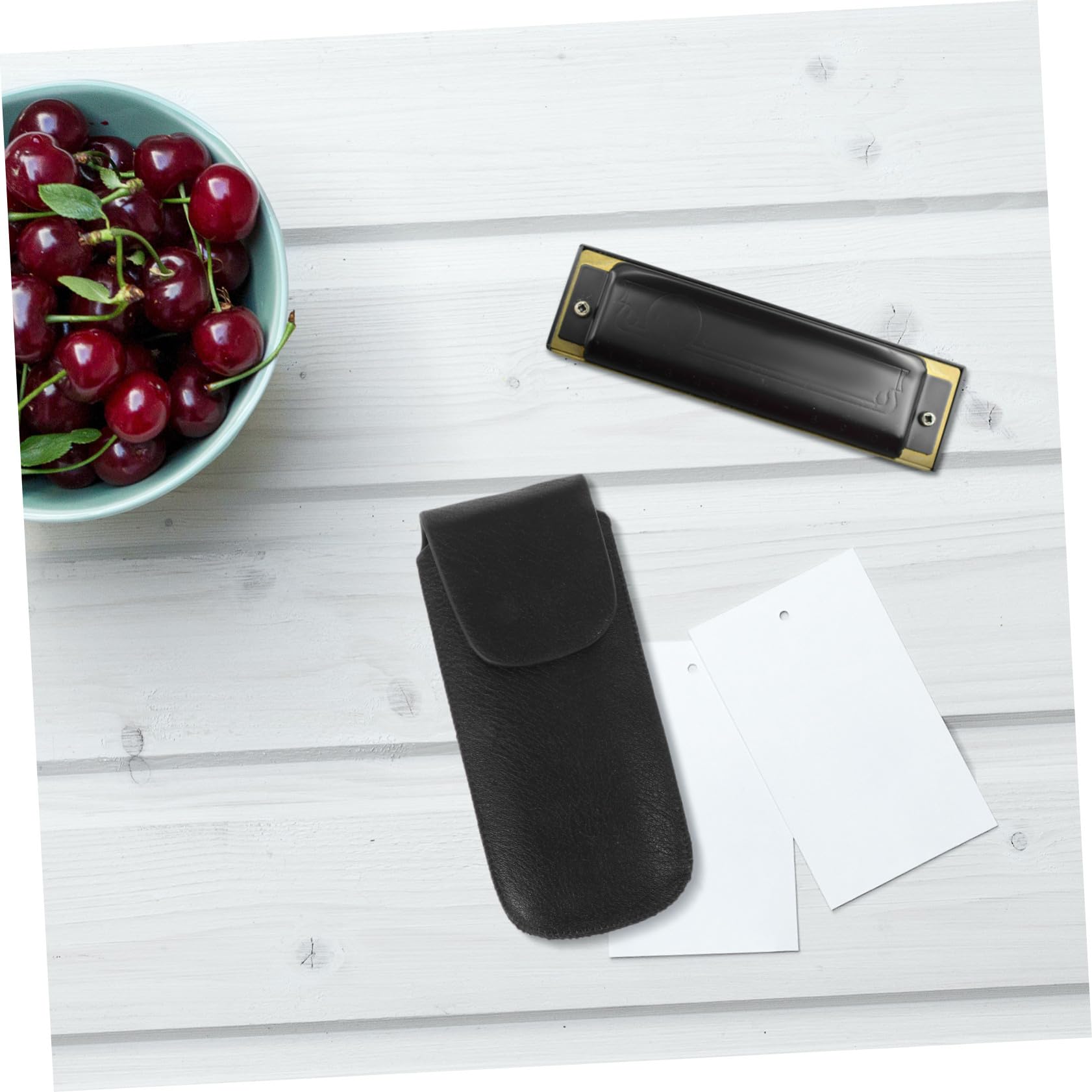 Mikinona Boîte à Harmonica Cuir Étui De Rangement pour Harmonica à Dix Boîte De Protection pour Débutant