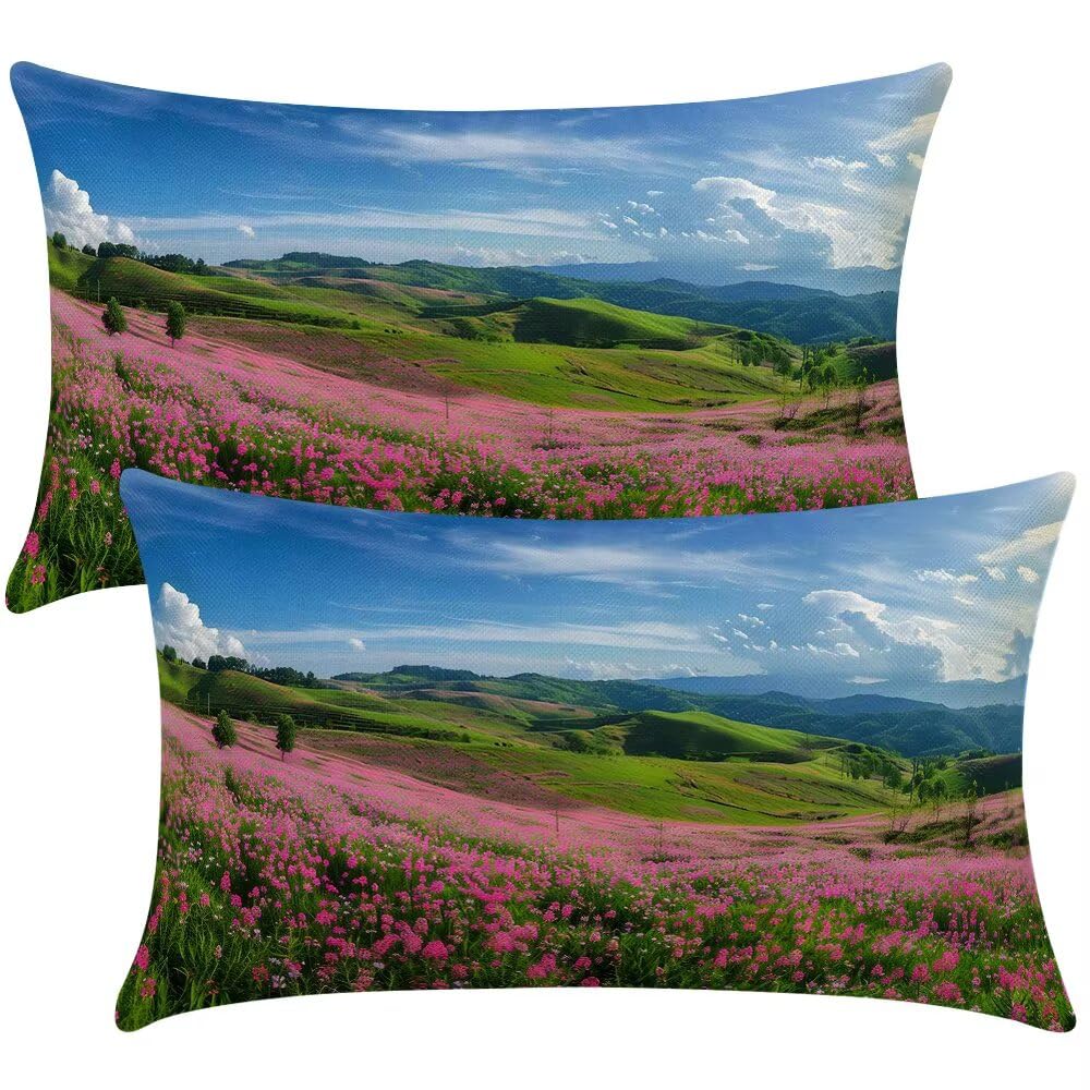 Spring Cushion Covers 35x55 cm Set of 2 Decorative Pillows Wildflowers Throw Pillow Case Rectangle Cushion Cover Couch Cushions Covers for Living Room Bedroom with Invisible Zipper 14x22 Inch -SC398