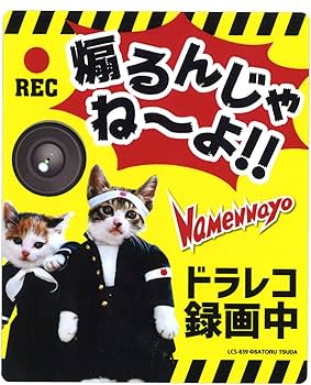 Amazon.co.jp: ゼネラルステッカー なめ猫 ドラレコ 録画中 煽るんじゃ Amazon.co.jp: ゼネラルステッカー なめ猫 ドラレコ 録画中 煽るんじゃ