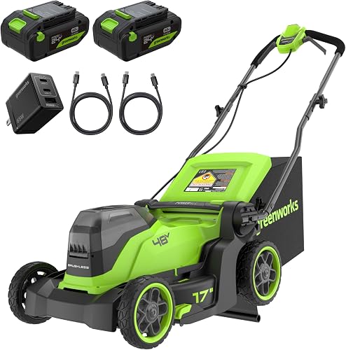 48V (24V x 2) 17in Push Lawn Mower, (2) 4.0 Ah Batteries Kit