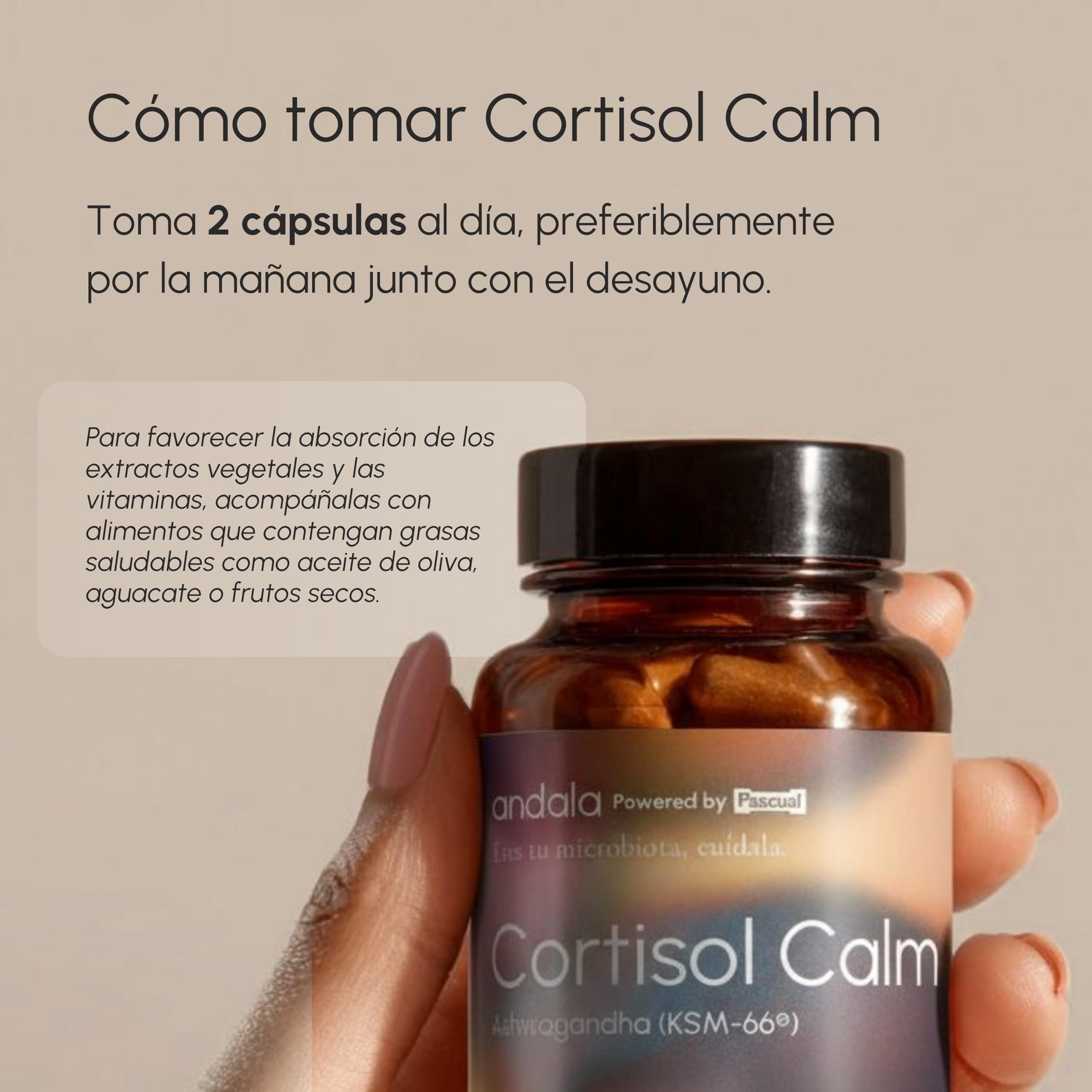 Cortisol Calm Ansiedad, Estres, Niebla Mental - Ashwagandha KSM-66 15:1, Magnesio Bisglicinato, Bacopa Monnieri, Reishi, Vitamina B6 y B12 y Probioticos - Nootropico Relajante Natural 60u