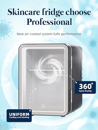 BOGDA Mini Skincare Fridge (4 Liter/6 Can) with Dimmable LED Light Mirror, Cooler and Warmer for Refrigerating Make Up, Skin Care and Food, Portable Mini Fridge for Bedroom, Office and Car, Grey