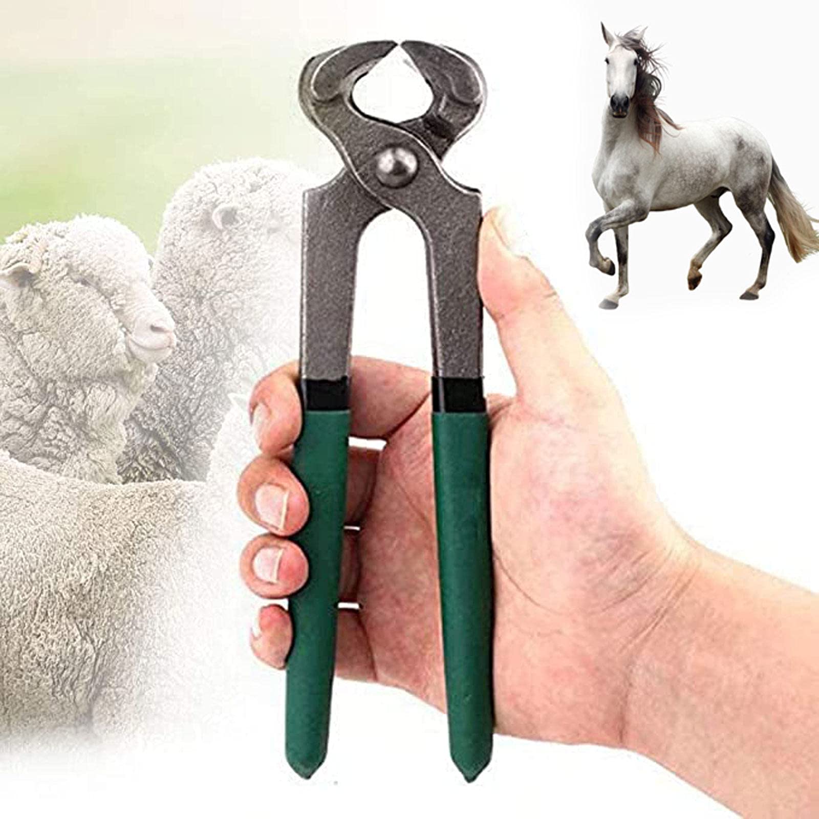 Buy YQJY Professional Farrier Tool Kits Hoof,Goat Hoof Trimming,Horses Hoof Trimmers Tools, for