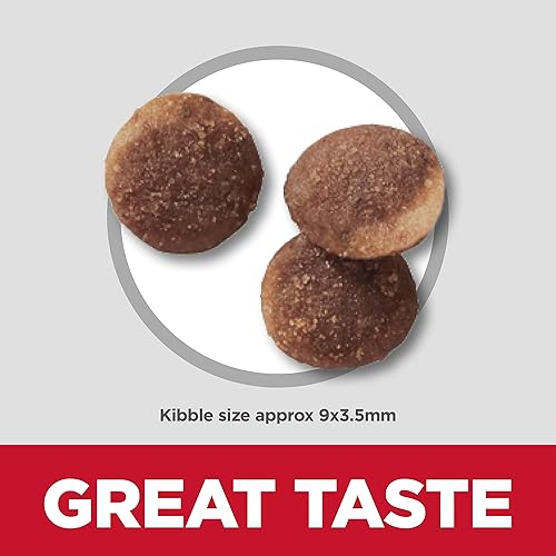 Miniatura 6 de Hill's Science Diet Estómago y piel sensibles, adultos 1-6, soporte de sensibilidad estomacal y de la piel, alimento seco para gatos, abadejo y