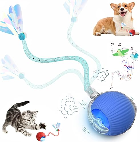 Miniatura 15 de Speed 2.0 Tail - Juguetes interactivos para gatos de interior, juguete para gatos que gorjea y activa el movimiento, juguete inteligente de pelota