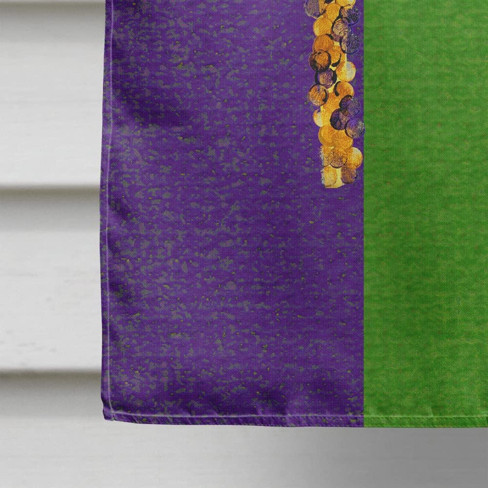 Caroline's Treasures 8362CHF Mardi Gras Mask House Flag Large Porch Sleeve Pole Decorative Outside Yard Banner Artwork Wall Hanging, Polyester, House Size, Multicolor